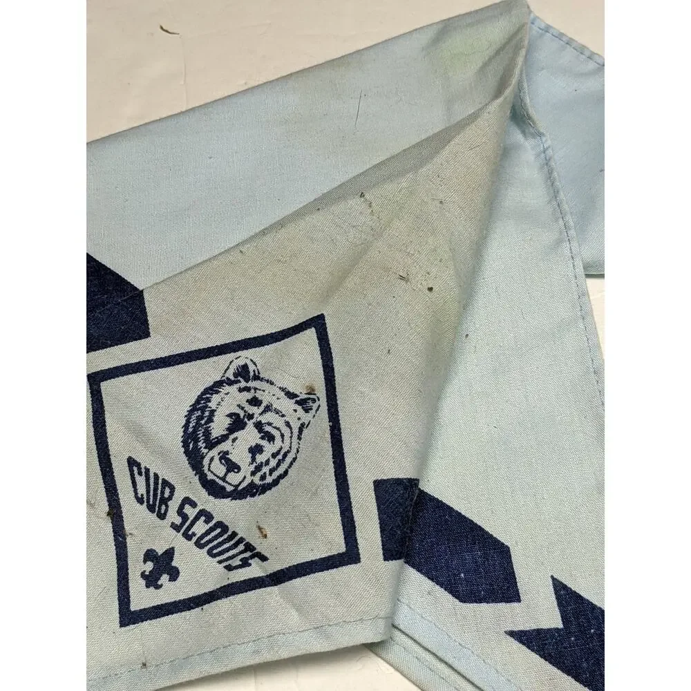 Scouting America cub scouts